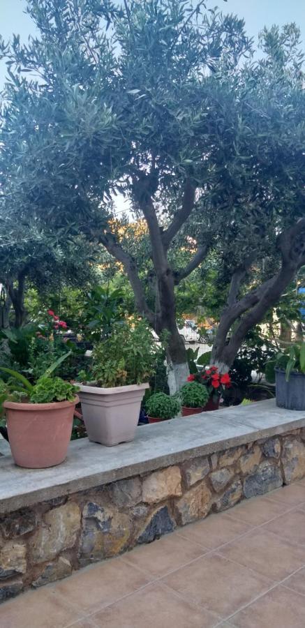 Petroula Apartments II Εμπορειός Εξωτερικό φωτογραφία