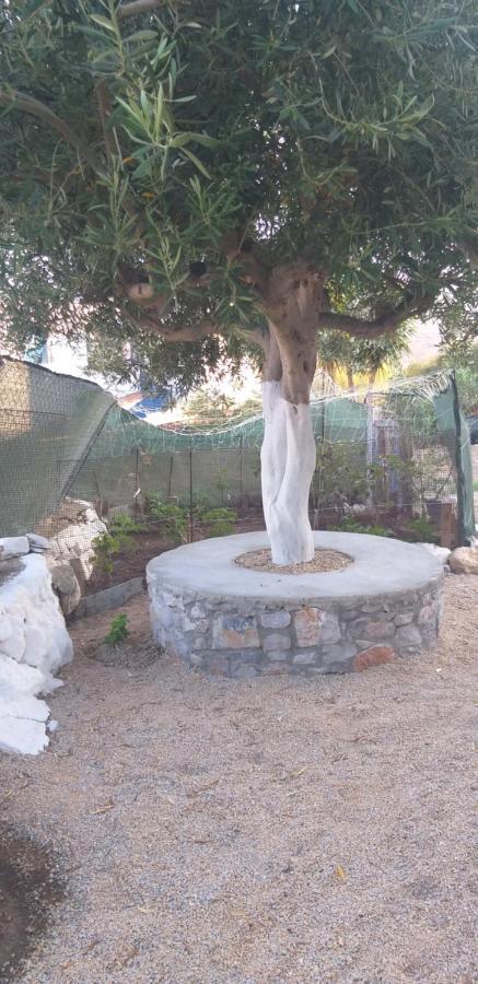 Petroula Apartments II Εμπορειός Εξωτερικό φωτογραφία